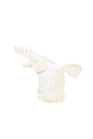 画像3:  {SOLD} Taro Washimi タロウ ワシミ 鷲見太郎 eagle eg-03/K18 ・925・K18 {1E3-YGSVYG-BJS}  :WT-PENDANT-105-F 