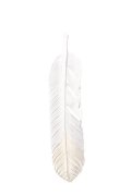   Taro Washimi タロウ ワシミ 鷲見太郎 L flight feather K18 top 01 {1FFL01-TYG-BJS}  :WT-PENDANT-117-F 