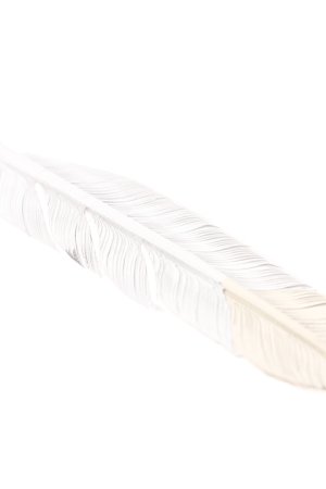 画像4:  {SOLD} Taro Washimi タロウ ワシミ 鷲見太郎 L flight feather K18 top 01 {1FFL01-TYG-BJS}  :WT-PENDANT-117-F 