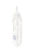   Taro Washimi タロウ ワシミ 鷲見太郎 L flight feather 02 {-BFS}  :WT20260407-08-F 