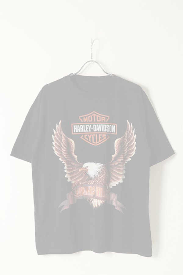 画像1:  {SOLD} Vintage HARLEY DAVIDSON BIKERS RULES EAGLE DOUBLESIDE TEE{-BAA} (1)