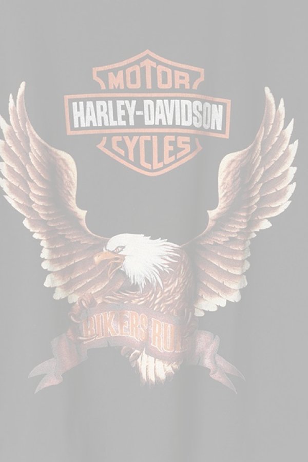 画像3:  {SOLD} Vintage HARLEY DAVIDSON BIKERS RULES EAGLE DOUBLESIDE TEE{-BAA} (3)
