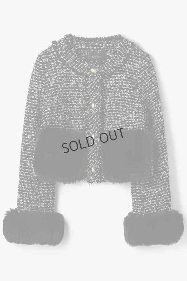 画像11: グレースコンチネンタル｜GRACE CONTINENTAL  ツイードコンビジャケット{-BEA} (11)