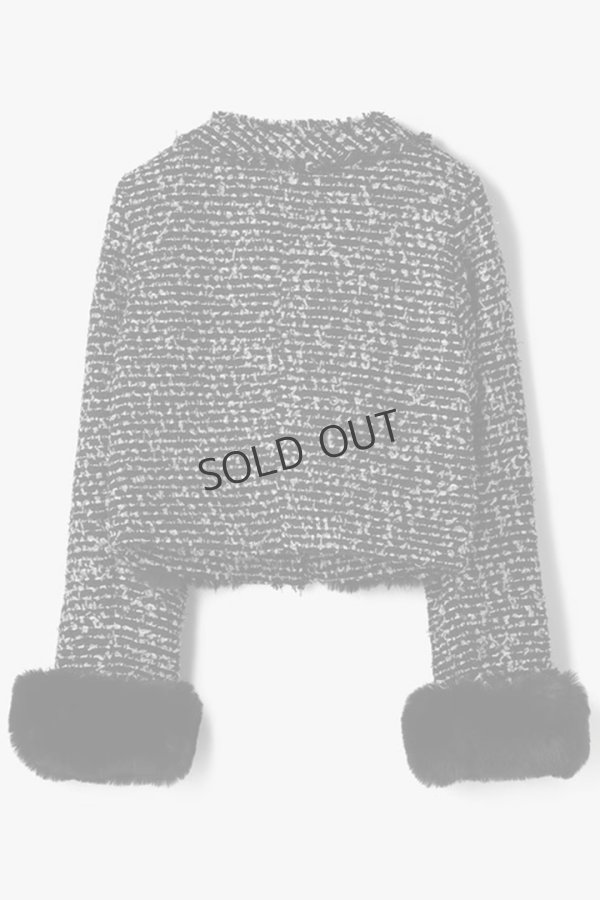 画像12: グレースコンチネンタル｜GRACE CONTINENTAL  ツイードコンビジャケット{-BEA} (12)