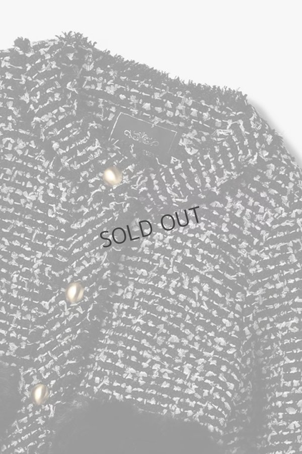 画像13: グレースコンチネンタル｜GRACE CONTINENTAL  ツイードコンビジャケット{-BEA} (13)