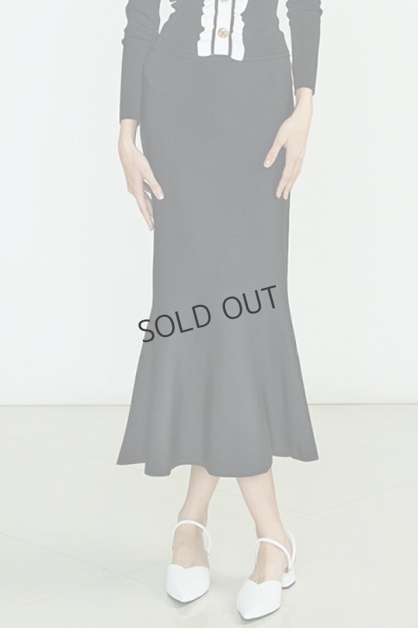 画像1: {SOLD}DOUBLE STANDARD CLOTHING ダブルスタンダードクロージング Sov. / ドライタッチニットマーメイドスカート{-BCS} (1)