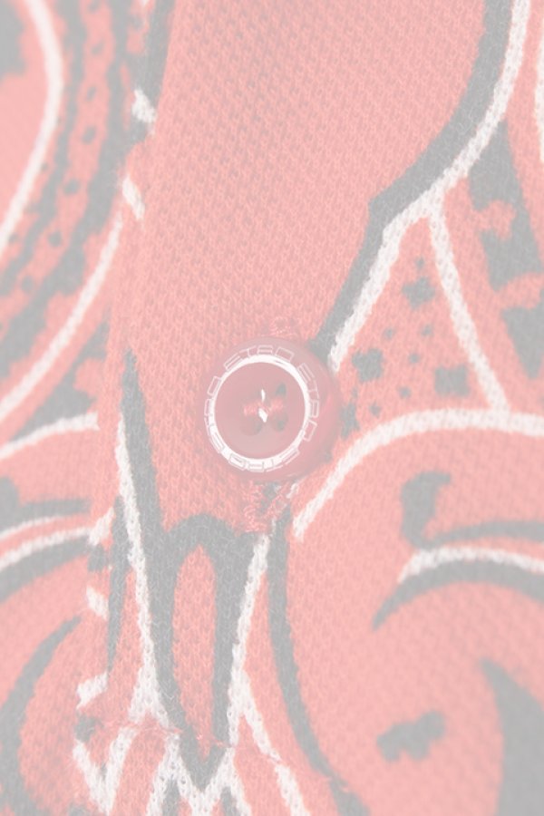 画像4:  {SOLD} ETRO エトロ POLO TOM STAMPATA M/{11513-4049-0600-ADS} (4)