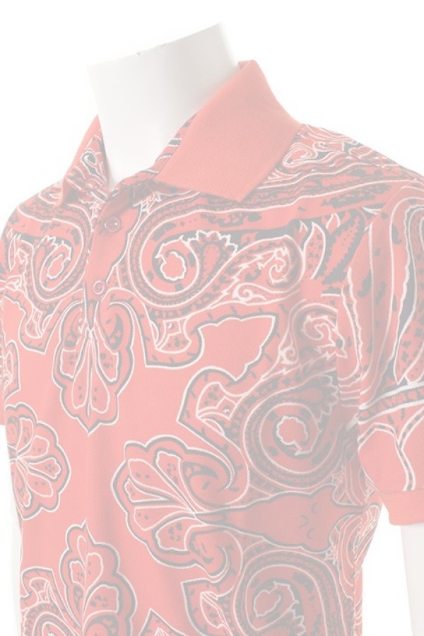 画像5:  {SOLD} ETRO エトロ POLO TOM STAMPATA M/{11513-4049-0600-ADS} (5)