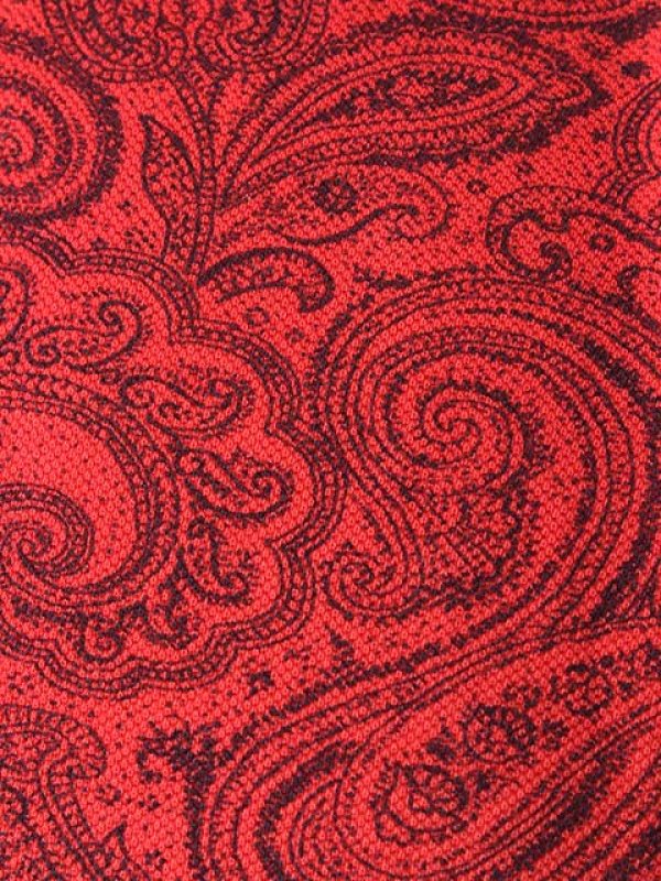 画像5: 【 50%OFF セール47,300円→23,650円】 ETRO エトロ POLO STAMPATA DEGRADE　ポロシャツ{-ACS} (5)