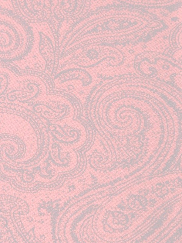 画像5:  {SOLD} ETRO エトロ POLO STAMPATA DEGRADE　ポロシャツ{-ACS} (5)