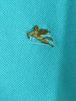 画像5: 【 50%OFF セール36,300円→18,150円】 ETRO エトロ POLO M/M COLLO B.D.　ポロシャツ{-ACS} (5)