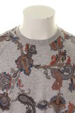 画像5: {SOLD}ETRO エトロ T-SHIRT M/M{1Y020-4016-0003-AGS} (5)