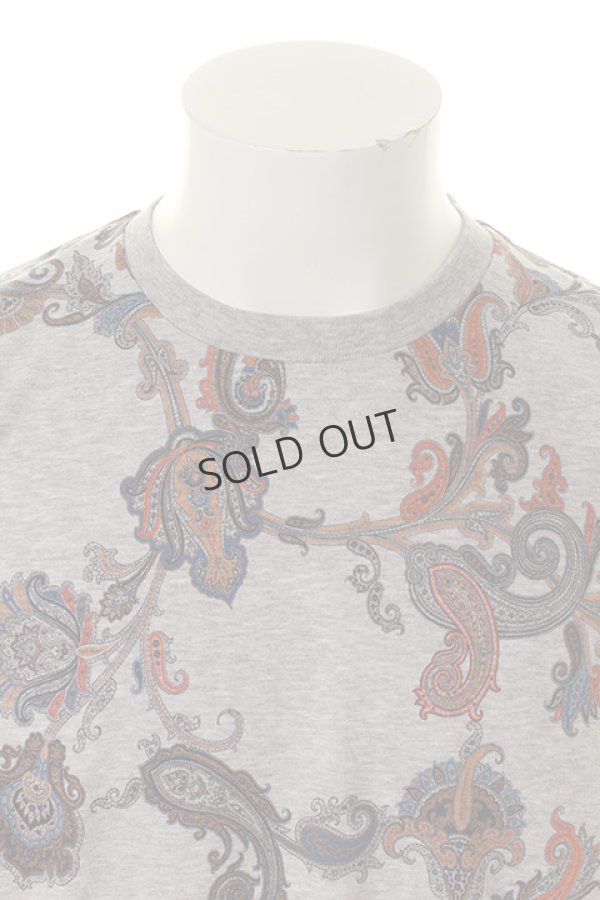 画像5: {SOLD}ETRO エトロ T-SHIRT M/M{1Y020-4016-0003-AGS} (5)