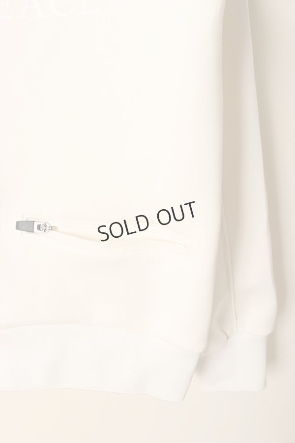 画像7: {SOLD}roarguns ロアーガンズ AddElm HOODIE{-BCA} (7)