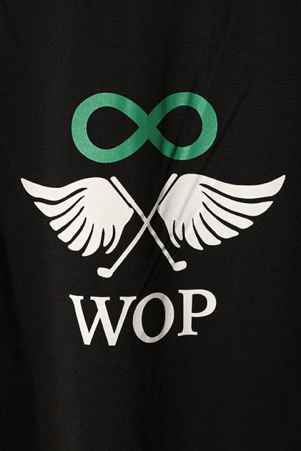 画像5: 【 20%OFF セール28,600円→22,880円】 roarguns ロアーガンズ AddElm LONG SLEEVE HALF ZIP MOCK NECK BIG{-BCA} (5)