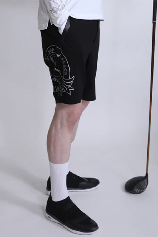 画像10: 【 20%OFF セール34,100円→27,280円】 roarguns ロアーガンズ AddElm LOGO SHORTS{-BCS} (10)