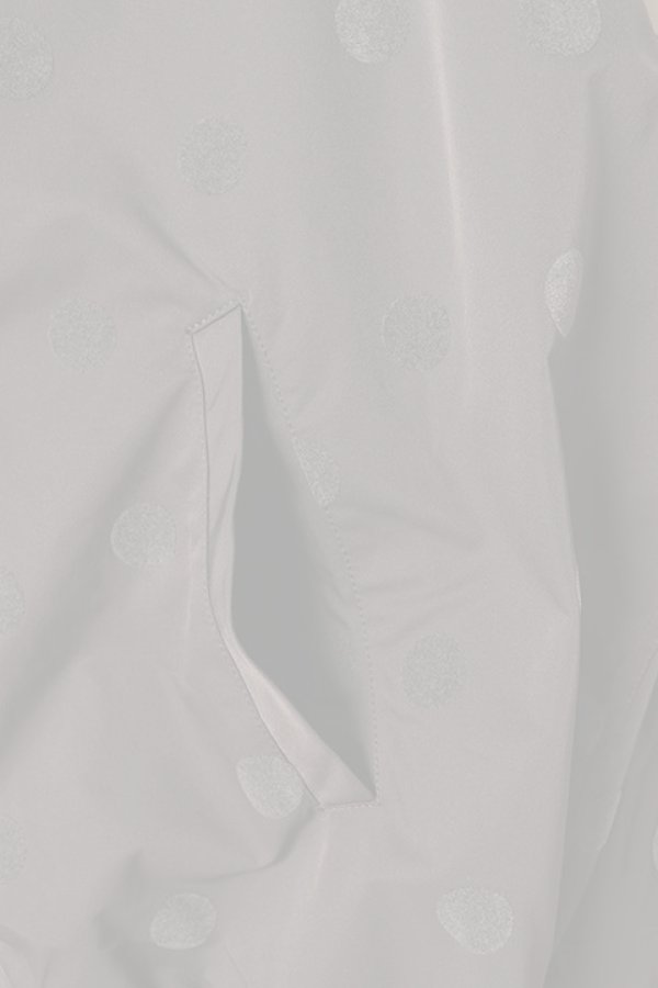 画像7:   ダブスタ ダブルスタンダードクロージング｜DOUBLE STANDARD CLOTHING フロッキードットジャージー{-BCA} (7)