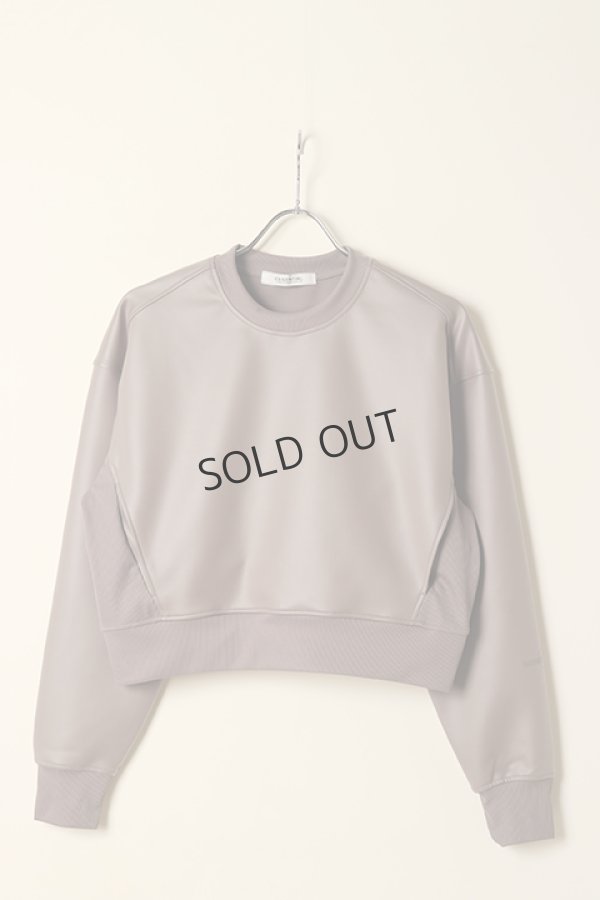 画像4: {SOLD}ダブスタ ダブルスタンダードクロージング｜DOUBLE STANDARD CLOTHING ESSENTIAL / アクアスーティングライクレザープルオーバー{-BCA} (4)