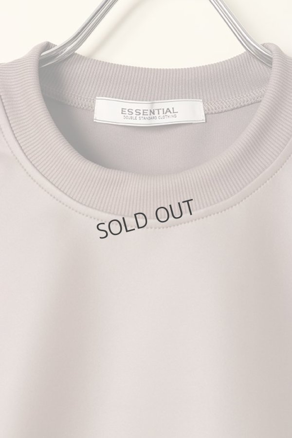 画像5: {SOLD}ダブスタ ダブルスタンダードクロージング｜DOUBLE STANDARD CLOTHING ESSENTIAL / アクアスーティングライクレザープルオーバー{-BCA} (5)