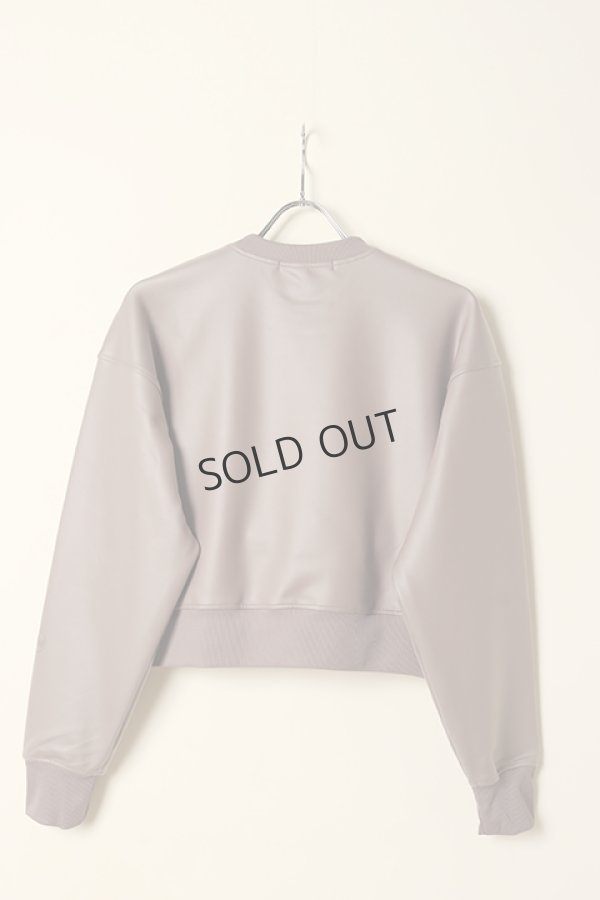 画像8: {SOLD}ダブスタ ダブルスタンダードクロージング｜DOUBLE STANDARD CLOTHING ESSENTIAL / アクアスーティングライクレザープルオーバー{-BCA} (8)