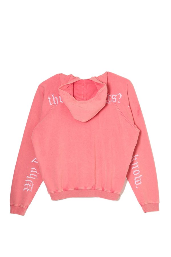 画像2: MAYO メイヨー ENJOY CHEMICAL EMBROIDERY HOODIE{-BFS} (2)