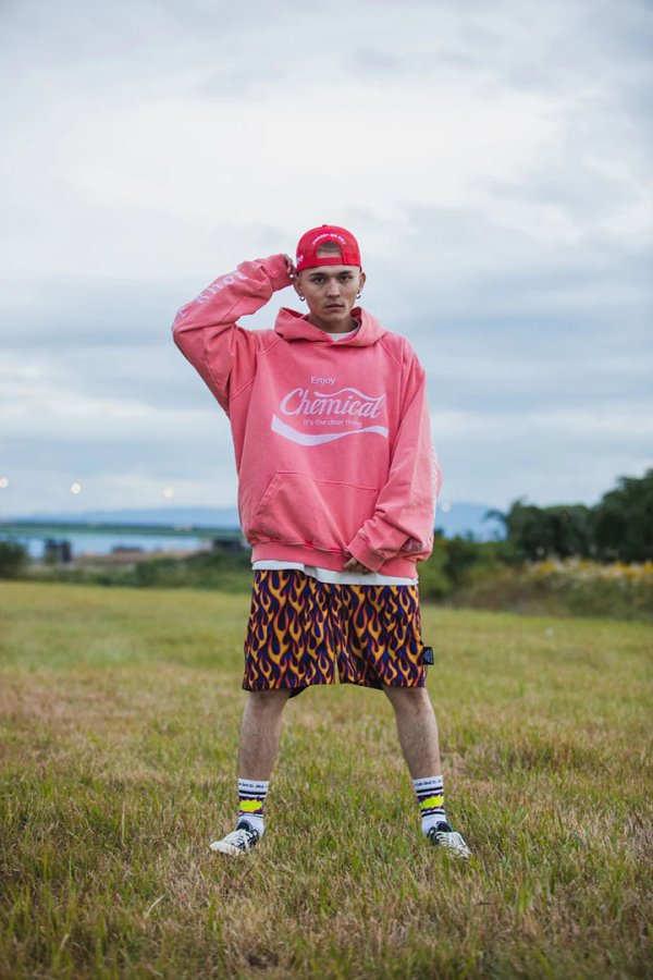 画像9: MAYO メイヨー ENJOY CHEMICAL EMBROIDERY HOODIE{-BFS} (9)