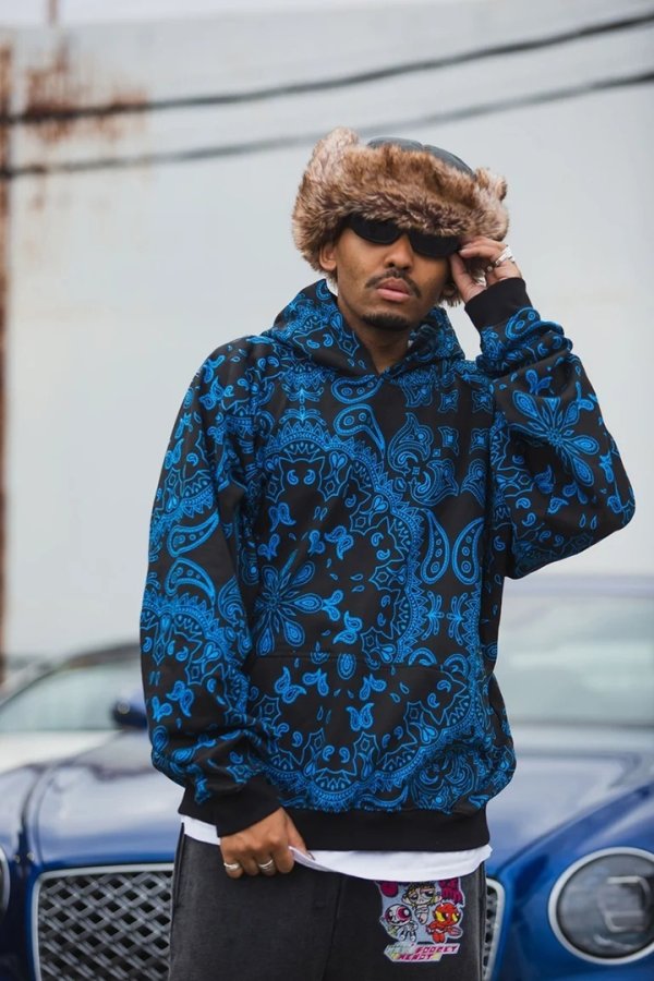画像4: MAYO メイヨー PAISLEY PATTERN PRINT HOODIE{-BFA} (4)