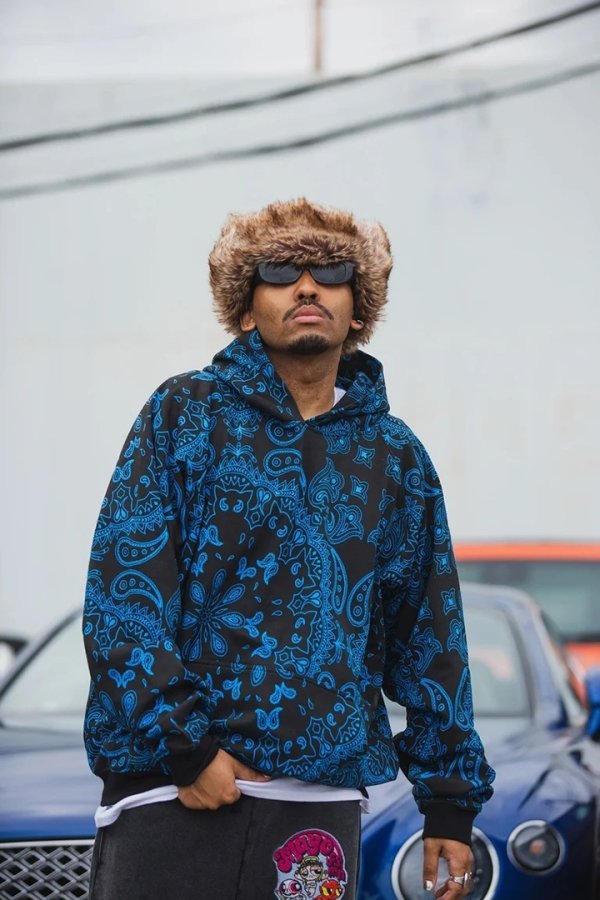 画像8: MAYO メイヨー PAISLEY PATTERN PRINT HOODIE{-BFA} (8)