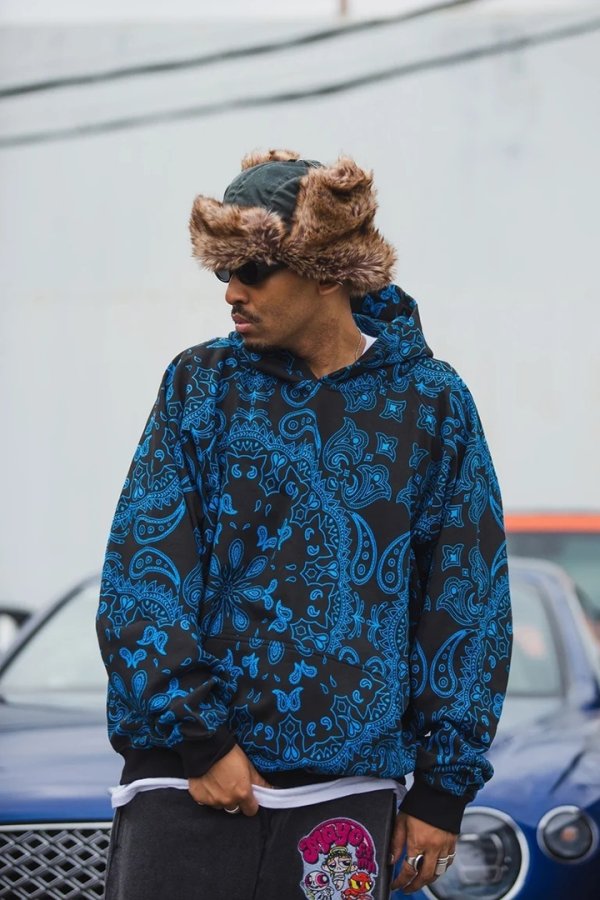 画像9: MAYO メイヨー PAISLEY PATTERN PRINT HOODIE{-BFA} (9)
