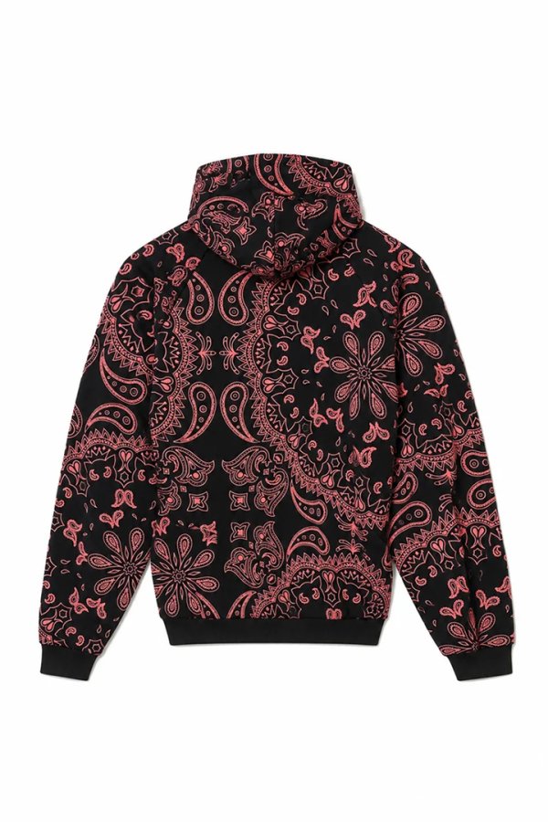 画像2: MAYO メイヨー PAISLEY PATTERN PRINT HOODIE{-BFA} (2)