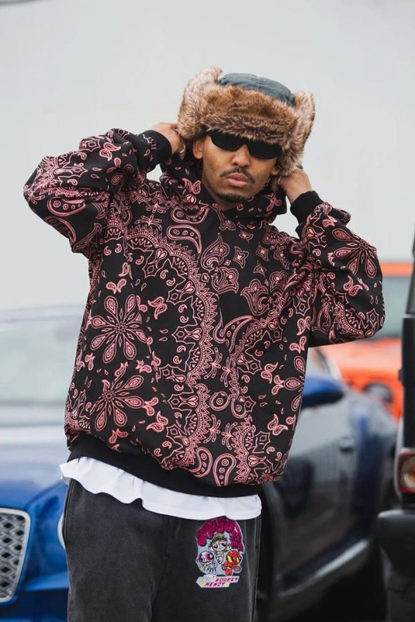 画像3: MAYO メイヨー PAISLEY PATTERN PRINT HOODIE{-BFA} (3)