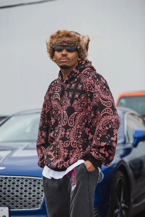 画像6: MAYO メイヨー PAISLEY PATTERN PRINT HOODIE{-BFA} (6)