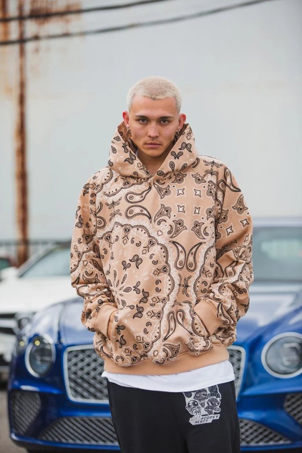 画像5: MAYO メイヨー PAISLEY PATTERN PRINT HOODIE{-BFA} (5)