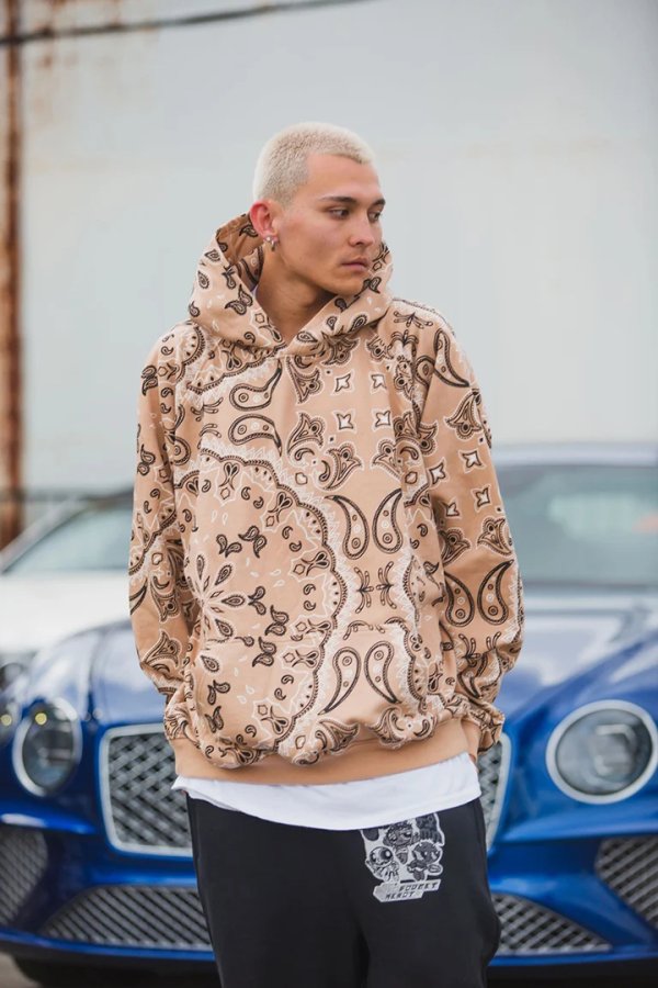 画像7: MAYO メイヨー PAISLEY PATTERN PRINT HOODIE{-BFA} (7)