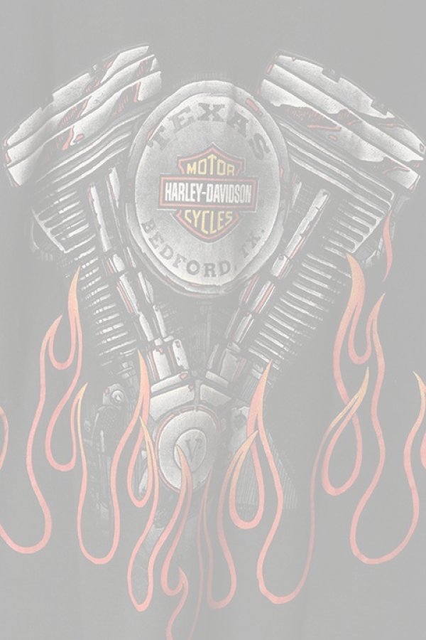 画像5:  {SOLD} Vintage HARLEY DAVIDSON TEXAS BEDFORD FIRE PATTERN TEE{-BAA} (5)