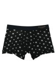 画像1: GRAVEVAULT グレイブボールト Star Studs{-BFS} (1)