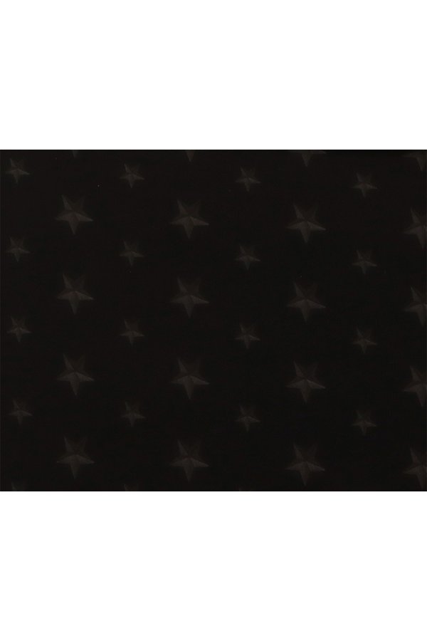 画像4: GRAVEVAULT グレイブボールト Star Studs{-BFS} (4)