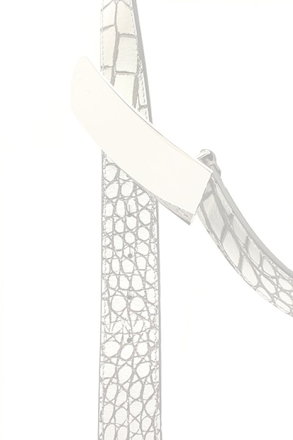 画像5:   GIUSEPPE ZANOTTI ジュゼッペザノッティ GZA OTHER BELT{-AEA} (5)