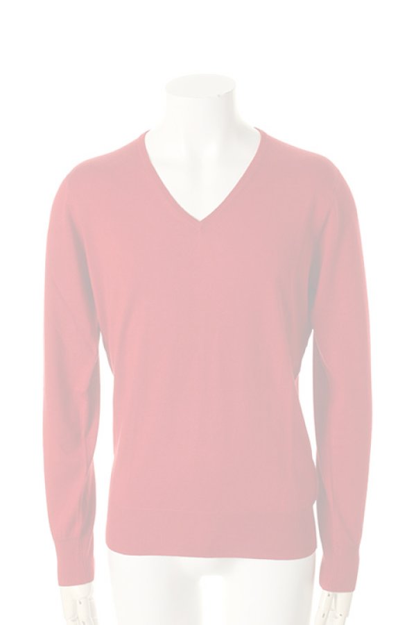画像1:   BARK バーク V-NECK KNIT{474-39030001-250-AFA} (1)