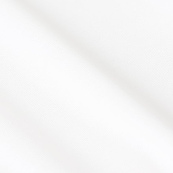 画像8:  {SOLD} 【Regular item】BLAMINK ブラミンク コットンクルーネック刺繍ショートスリーブTシャツ{7917-222-0010-WHT-BJS} (8)