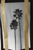 画像5: Palm Angels パームエンジェルス PALMS TEE{PMAA001S7084007-1088-AGS} (5)