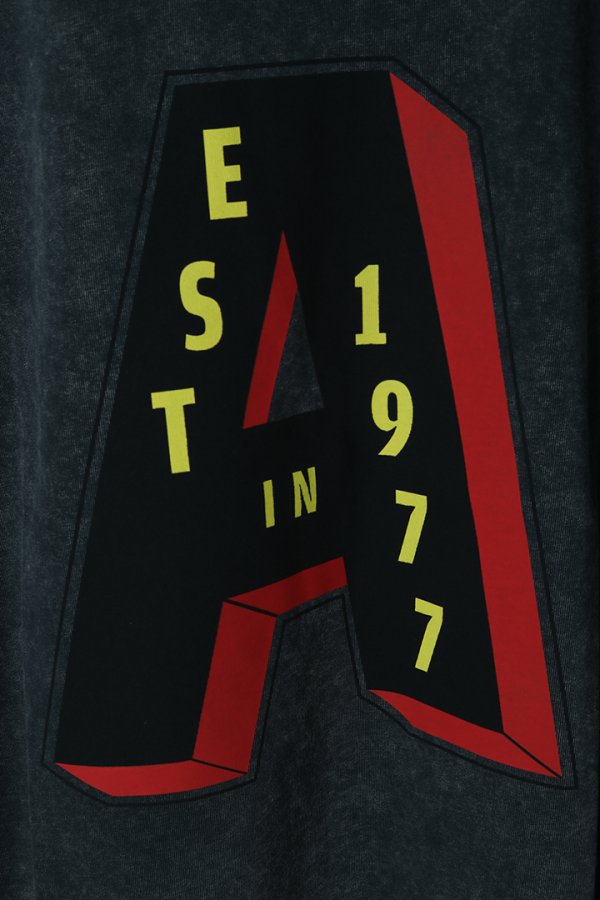 画像3: ALBERTO BRESCI アルベルトブレーシ A1977 TEE{-BES} (3)