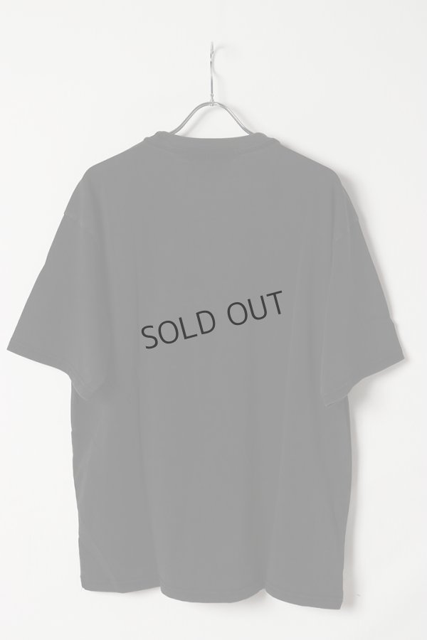 画像5: {SOLD}a good bad influence アグッドバッドインフルエンス Mountain T-SHIRT{-BES} (5)