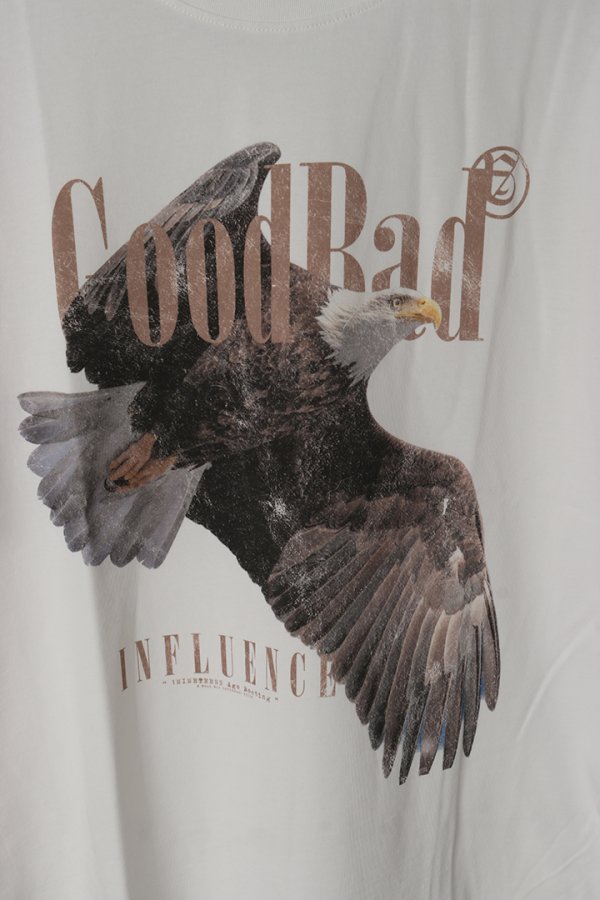 画像3: a good bad influence アグッドバッドインフルエンス Hawk T-SHIRT{-BES} (3)