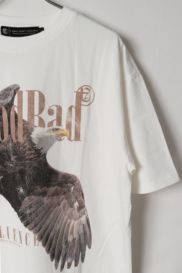画像4: a good bad influence アグッドバッドインフルエンス Hawk T-SHIRT{-BES} (4)