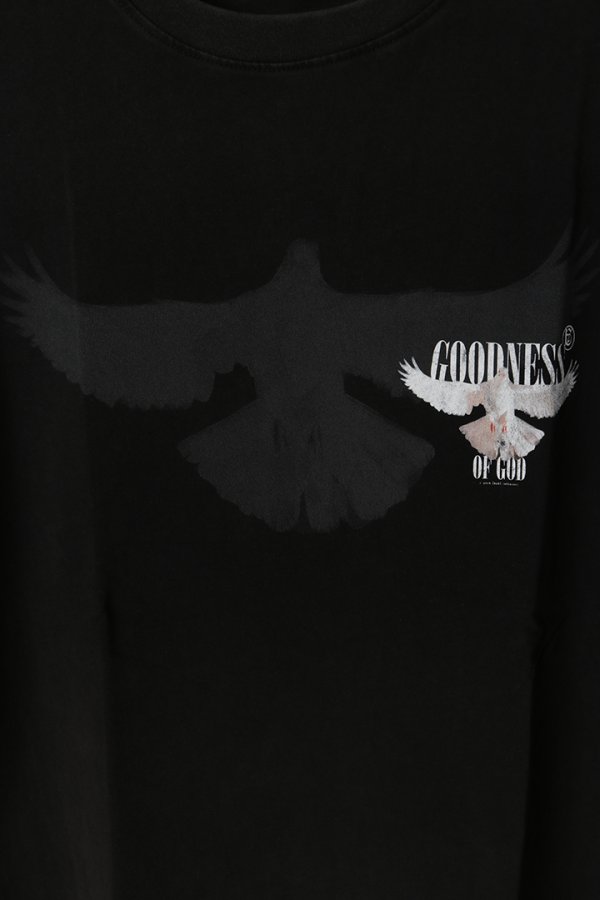 画像3: a good bad influence アグッドバッドインフルエンス GOODNESS BIRD T-SHIRT{-BES} (3)