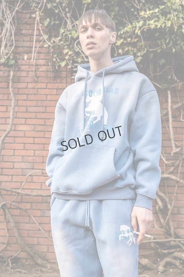 画像7: {SOLD}a good bad influence アグッドバッドインフルエンス HORSE LOGO GRADATION HOODIE{-BBA} (7)