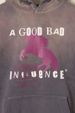 画像2: {SOLD}a good bad influence アグッドバッドインフルエンス HORSE LOGO GRADATION HOODIE{-BBA} (2)