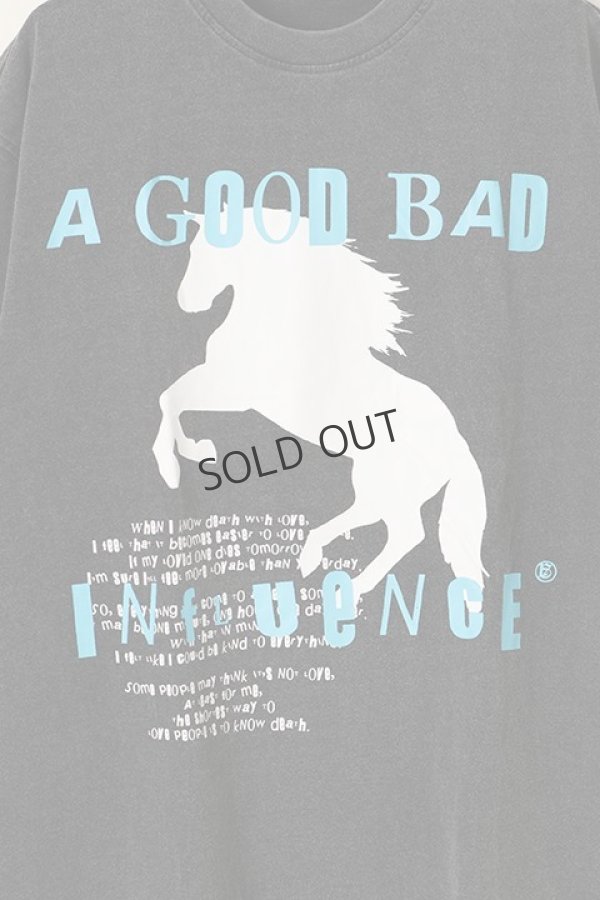 画像3: {SOLD}a good bad influence アグッドバッドインフルエンス HORSE LOGO WASHED T-SHIRT{GB-22-FW11-BLK-BBA} (3)