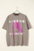 画像1: {SOLD}a good bad influence アグッドバッドインフルエンス HORSE LOGO WASHED T-SHIRT{GB-22-FW11-GRY-BBA} (1)